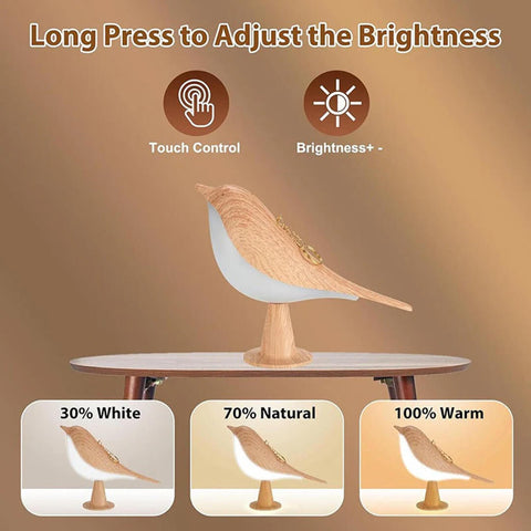 Touch LED Bird Lamp Decorative Night Light