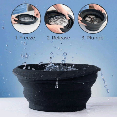 Collapsible Ice Facial Bowl