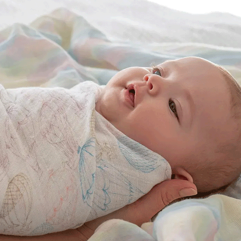 Cozy Wrap ProFlex Infant Swaddle