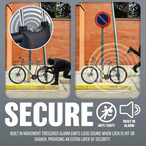 Anti Theft Alarm Lock
