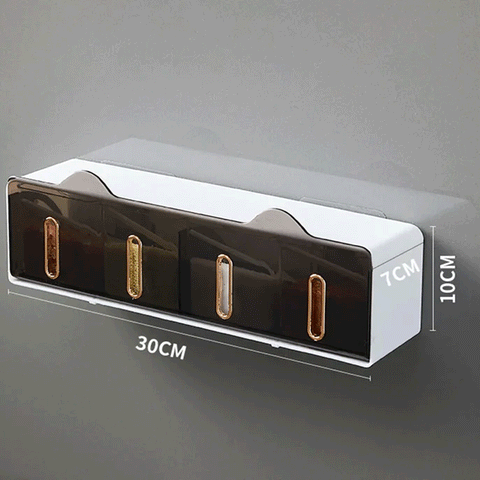 Wall Mounted Spice Storage Rack