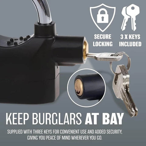 Anti Theft Alarm Lock