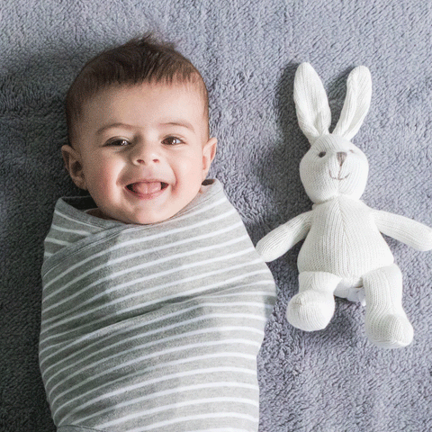 Cozy Wrap ProFlex Infant Swaddle