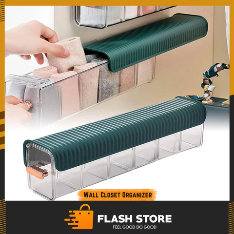 6 Grid Transparent Wall Closet Organizer
